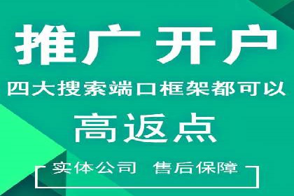 某行业领先企业背后的百度推广代理商策略
